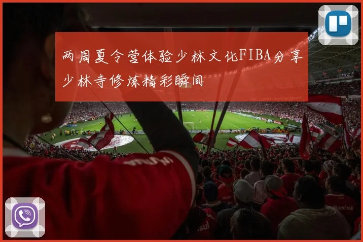 两周夏令营体验少林文化FIBA分享少林寺修炼精彩瞬间